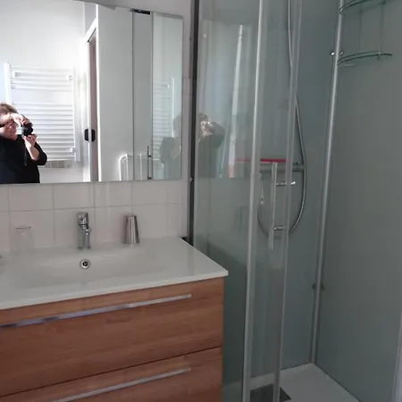 Apartment Le Sancy, T2, 4 Pers, Centre Du Dore