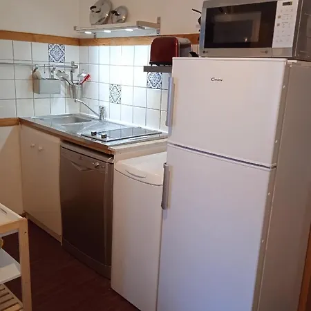 Le Sancy, T2, 4 Pers, Centre Du Dore Apartment *